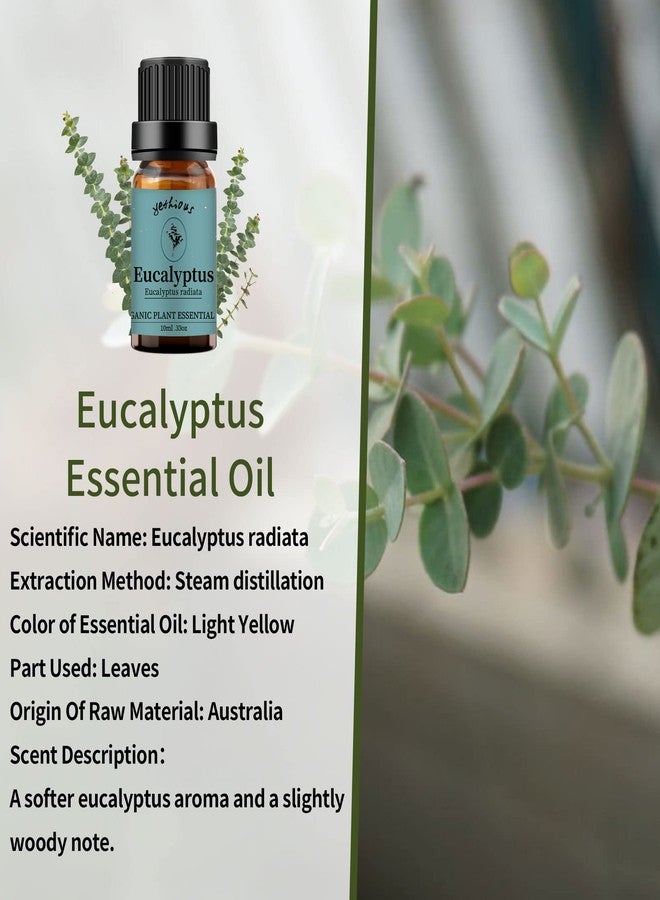 yethious Lavender Eucalyptus Essential Oil Organic Pure Plant Lavender Oil Essential Oil for Diffuser, Skin, Hair Care - Image 2